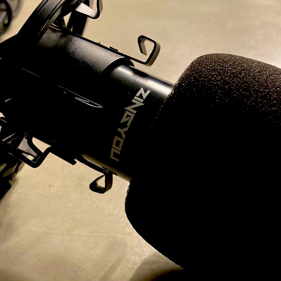 Zingyou microphone and stand - Picture 1 of 5